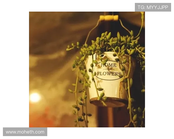 原来爱情,不过是平淡日子里的星光