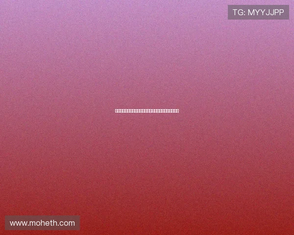 《线人》：豆瓣高分悬疑，一场关于信任与背叛的致命游戏