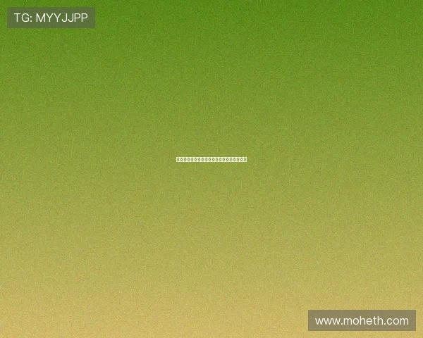 《狼侠》：不止是热血，更是直抵人心的力量