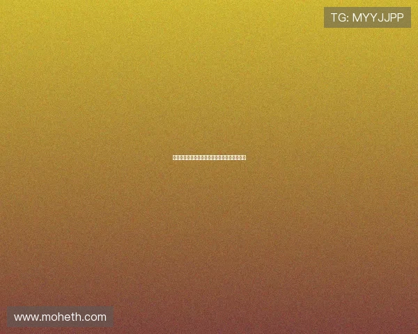 一屋住家人：家的温度，是岁月沉淀的温馨诗篇