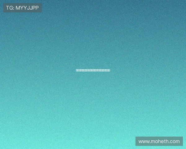 东营电影：光影流转，诉说黄河三角洲的时代旋律