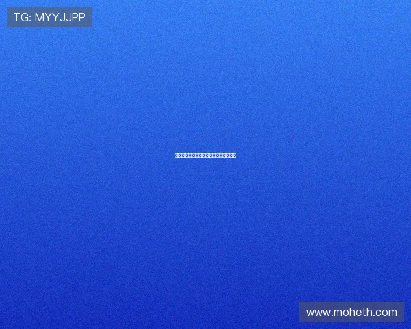 山西小院：一处藏匿于时光的诗意栖居地