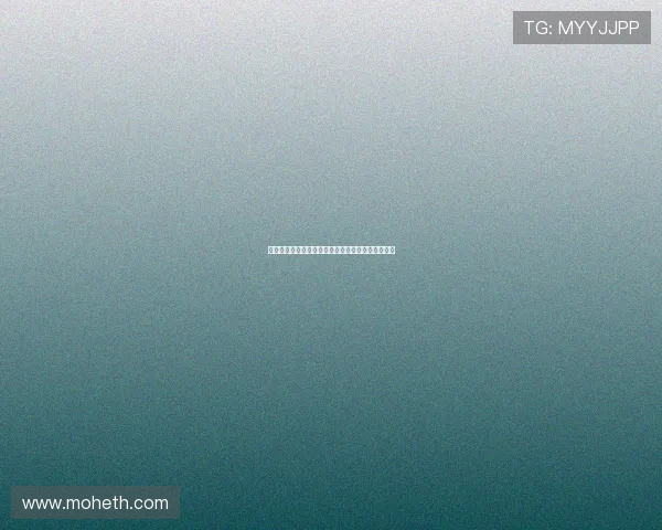 惊心动魄的暗夜交锋：刺客与保镖，一场宿命的对决