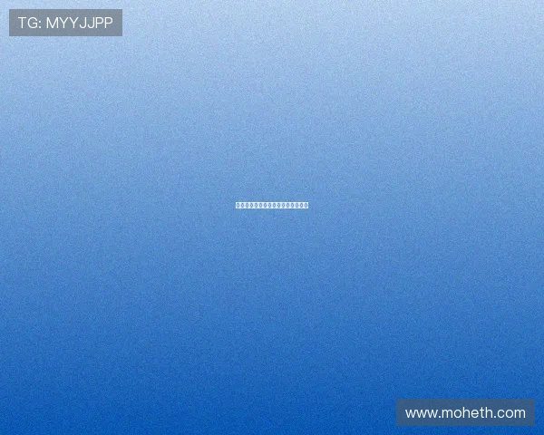 日日夜夜：时间的洪流，情感的潮汐