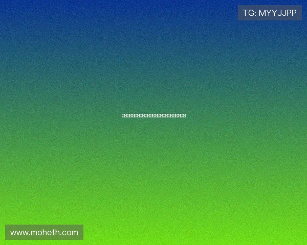 星猫历险记：味蕾上的星际盛宴，一口吞下宇宙的美味！