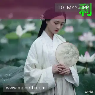 韩阳豪